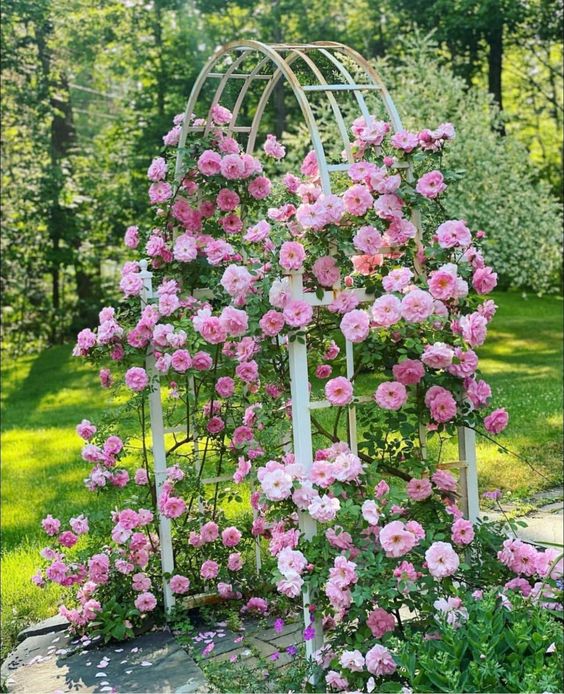 a jaw-dropping white metal trellis covered with pink blooms is a breathtaking decoration for a garden or any other outdoor space, it adds color and interest