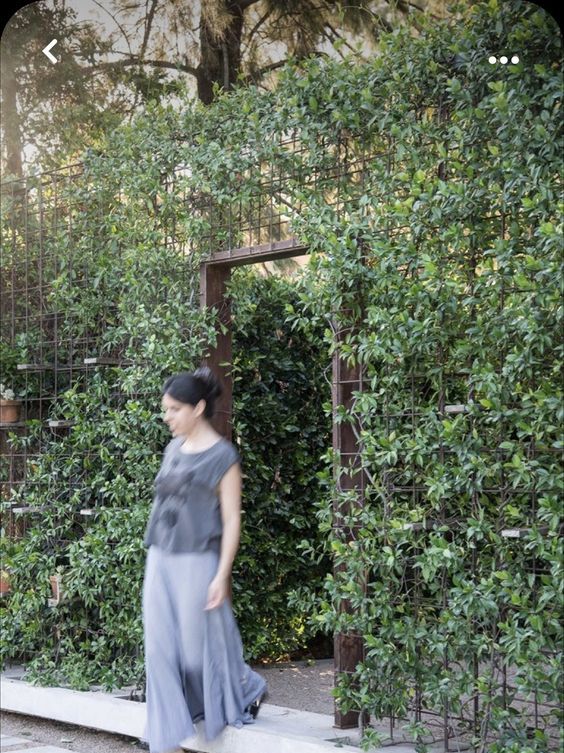 a large and tall metal grid fence covered with greenery is a vertical garden that divides the spaces and looks more natural with vines on it