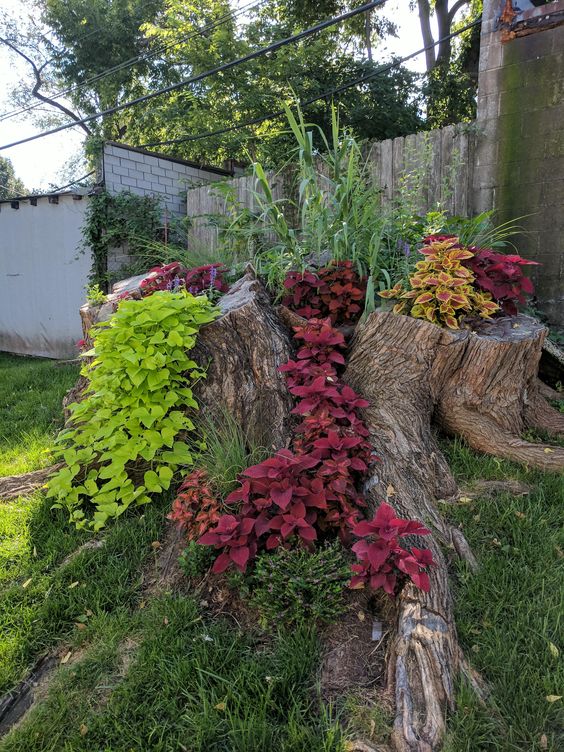 a large deconstructed stump with bold red, green and yellow foliage and some grasses is a cool and bright decoration for a garden