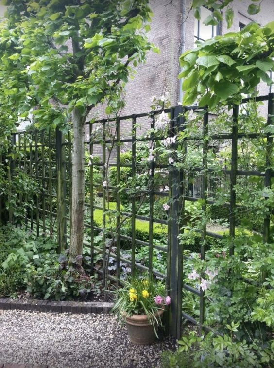 a large metal trellis fence covered with greenery and some flourishing vines is a lovely idea to spruce up the space, it looks quite lightweight