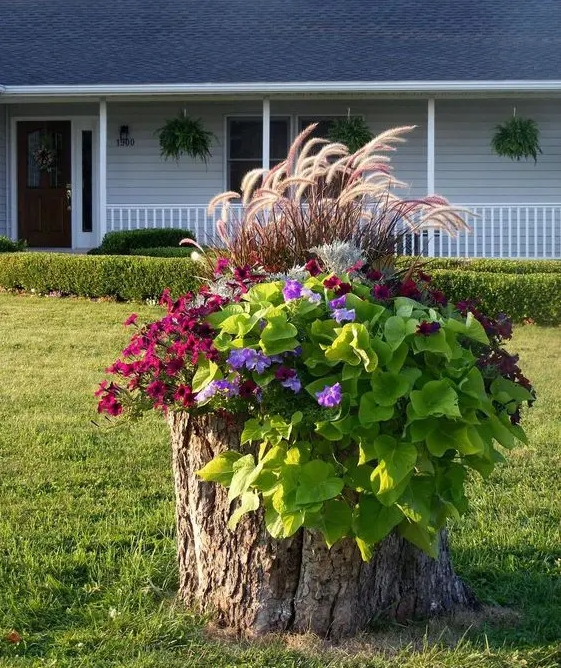 a large planter with greenery, bright blooms and grasses is a catchy and stylish idea for any outdoor space, whatever blooms you choose