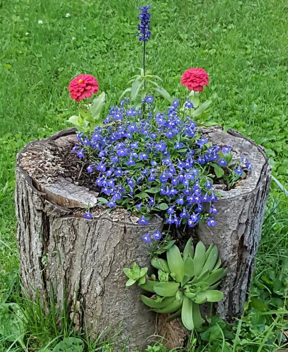 a large tree stump with greenery and bold blue and red blooms plus a succulent on the side is a cool and catchy outdoor solution