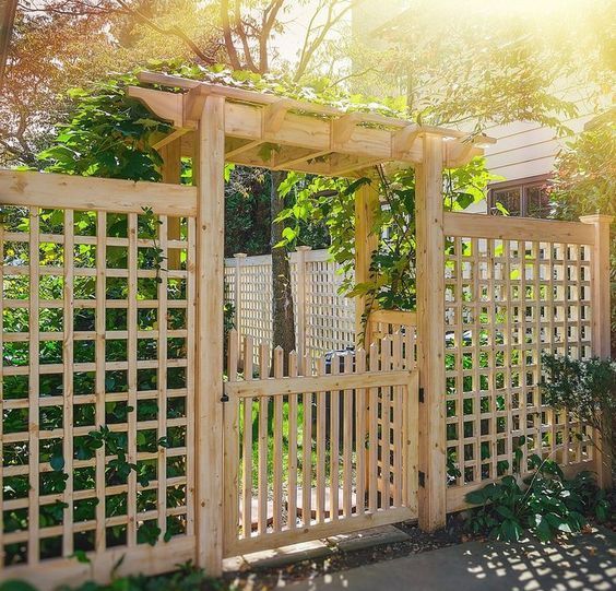 a light-stained trellis fence with a gate and an arbor can be covered with vines to look fresh and natural