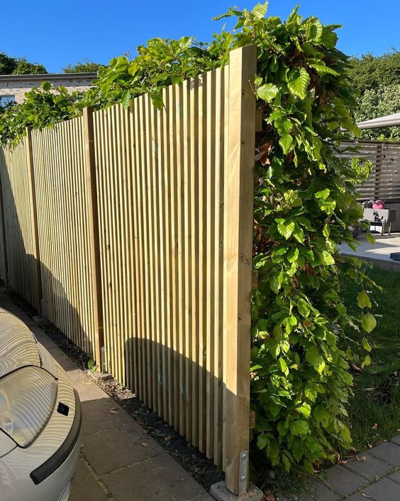 a light-stained wooden fence paired with a living wall looks as a vertical garden from the inside and as a classic fence outside