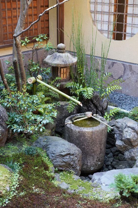 a little Japanese corner garden with rocks, a traditional bamboo fountain, a tree, greenery and moss on the rocks