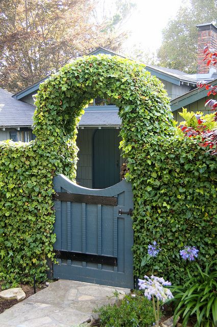 a living greenery fence paired with a simple slate gate and an arbor done with the same vines for a unique, catchy and bold entrance