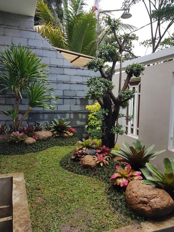 a lovely corner garden with some greenery, succulents, agaves and tropical trees is a chic solution for a modern space