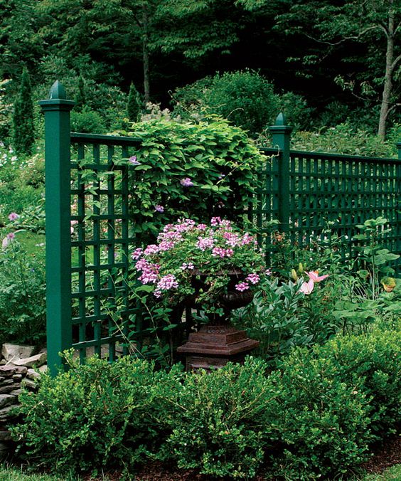 a lovely green metal fence covered with blooming vines merges with greenery around and looks very chic and cool