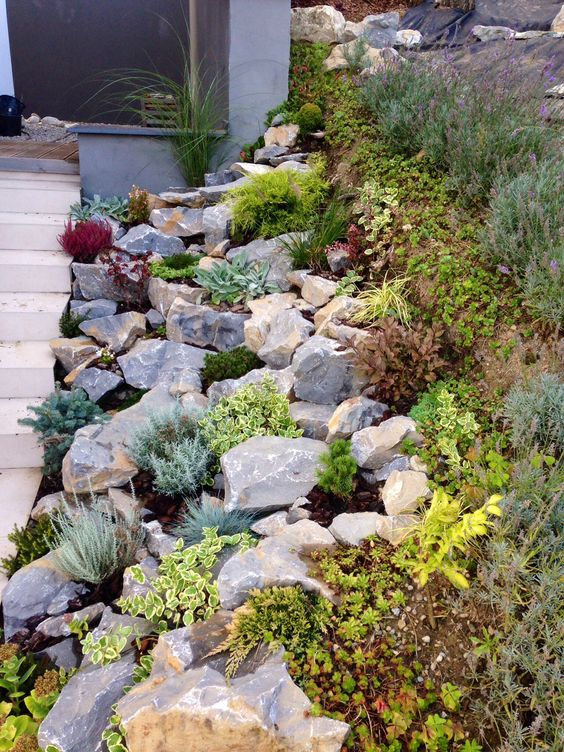 a lovely rock garden with succulents and greenery as edge of slot, lining up the path to the entrance