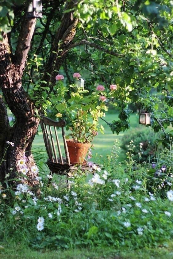 a lush blooming meadow, a tree with green branches and a single chair under the tree to enjoy the views