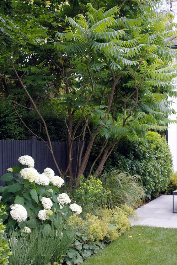 a lush corner garden with trees, shrubs, blooms and greenery is a cool solution for a modern space