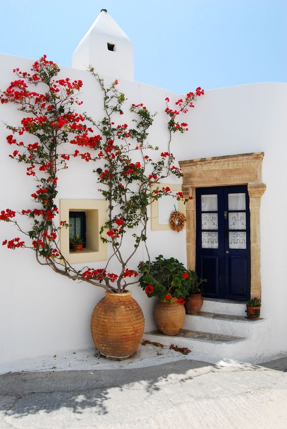 A Mediterranean porch styled with red climbers going up the wall and some red blooms in a pot looks bold and contrasting.