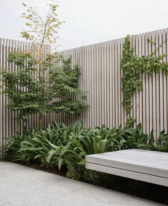 a minimalist space with a whitewashed wooden fence, a trellis with greenery and greenery growing along the fence plus a whitewashed bench