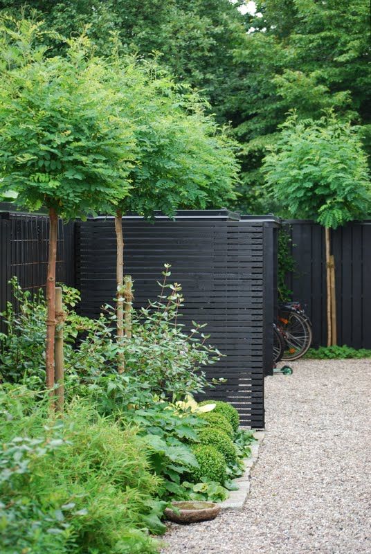 a modern black planked fence with lush greenery and green trees along it is a cool idea for a Scandinavian backyard