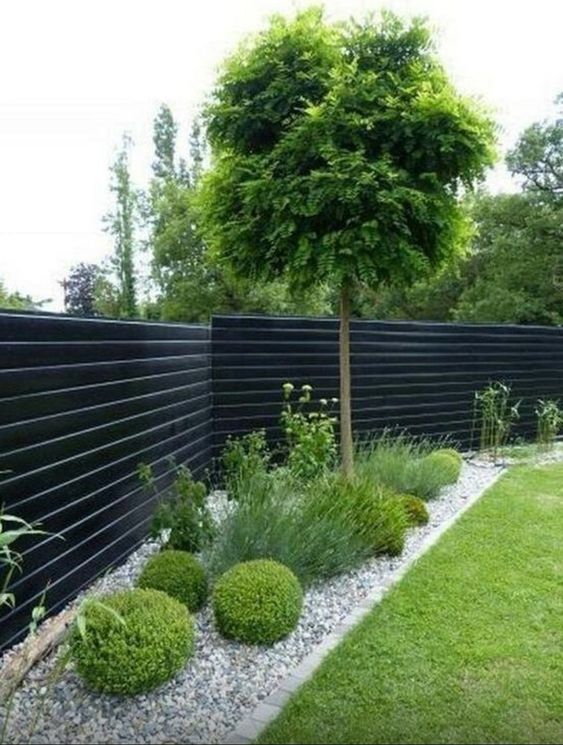 a modern corner garden with grasses, topiaries and a tree plus pebbles on the ground is a cool idea for a modern space