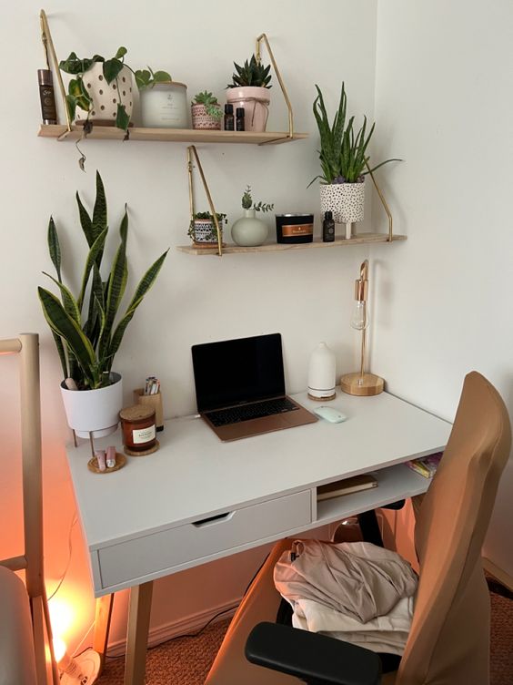 a modern workspace with a laptop, potted plants, a table lamp, hanging shelves with decor and plants