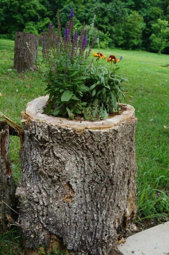 a natural stump with bold purple and orange blooms growing inside is a cool decoration you can make, it's a great way to repurpose