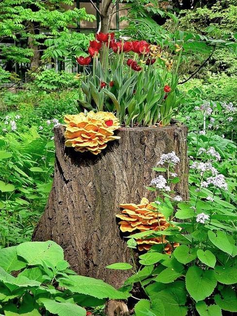 a natural stump with mushrooms and bold tulips growing inside is a lovely woodland decoration for any garden or outdoor space