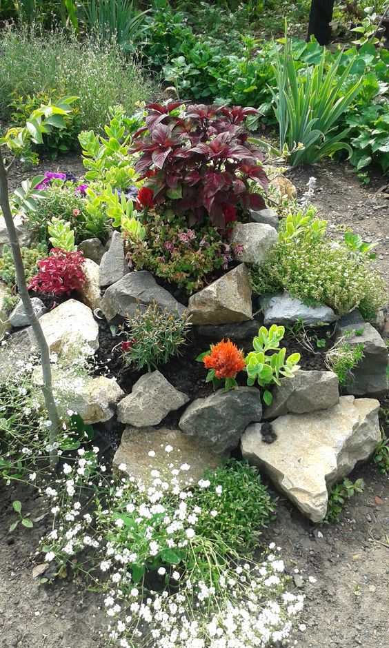 a pretty rock garden with greenery, blooms and colorful plants is a cool idea for many spaces, choose the plants that will look spectacular