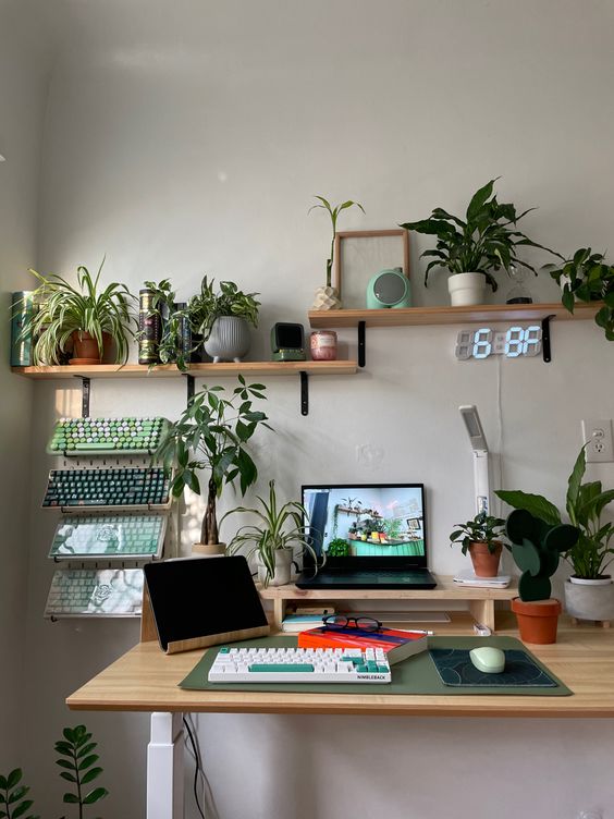 a pretty workspace with shelves with plants, a laptop on a stand, some devices and keyboards on the wall