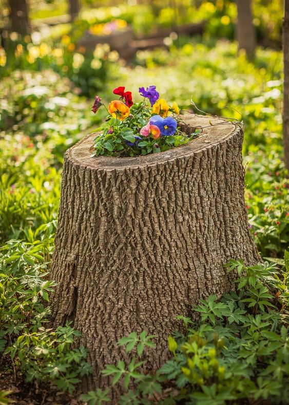 a real and natural stump with bold purple, yellow and blue blooms and greenery is a fantastic decoration for outdoors