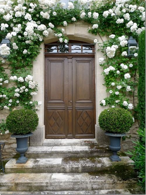A sophisticated front porch with stained doors, topiaries on both sides of the door and 