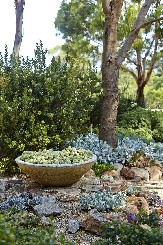 a rock garden with lots of various succulents and a concrete bowl with them instead of a planter is a very cool and bold nook