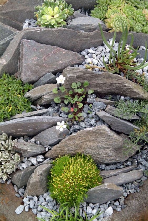 a rock garden with pblles, some blooms and succulents and some simple plants is a perfect imitation of a desert-like landscape