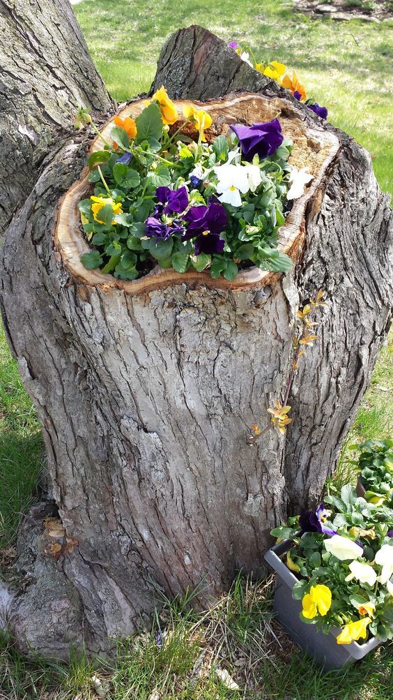 a rough and dry stump as a planter with bold yellow, white and purple blooms and greenery is a gorgeous natural decoration