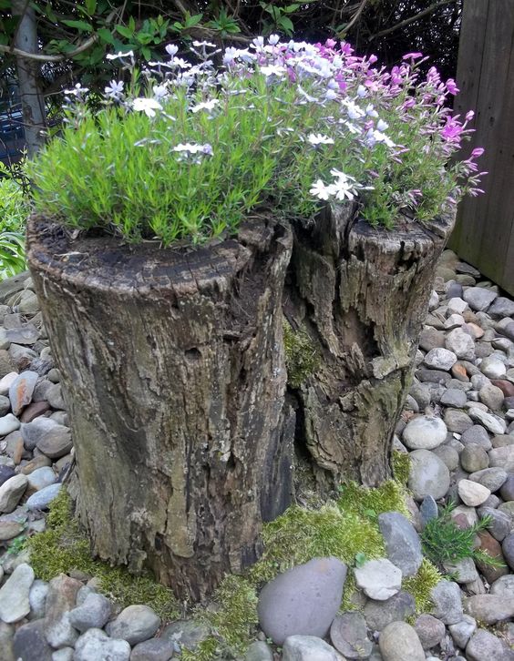 a rough and natural tree stump as a planter for greenery, white, lilac and purple blooms is a cool garden decor idea