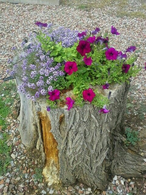 a rough tree stump with pueple and fuchsia blooms and greenery is a lovely decoration for an outdoor space