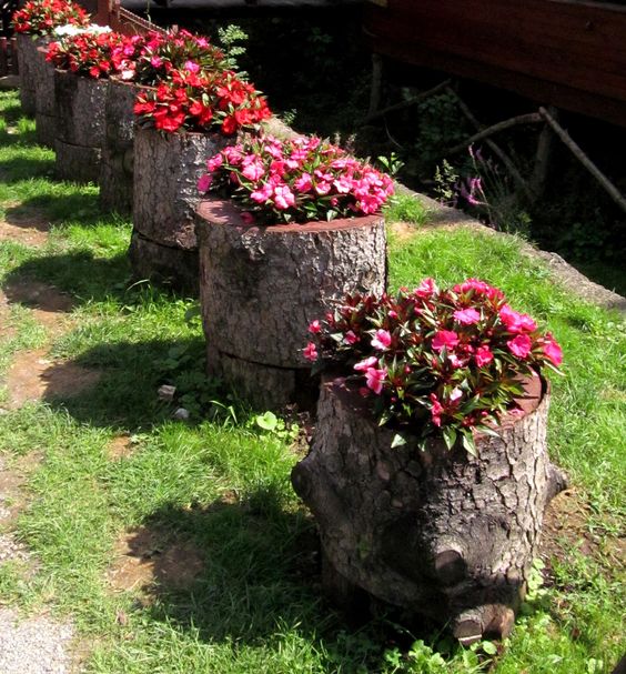 a row of tree stumps with bold pink and blooms is a bold and fun decor idea for a garden or an outdoor space