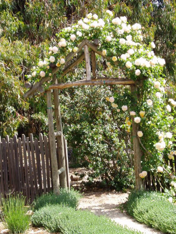 a rustic branch trellis covered with greenery and neutral blooms will be a lovely entrance arch to your garden or some part of it