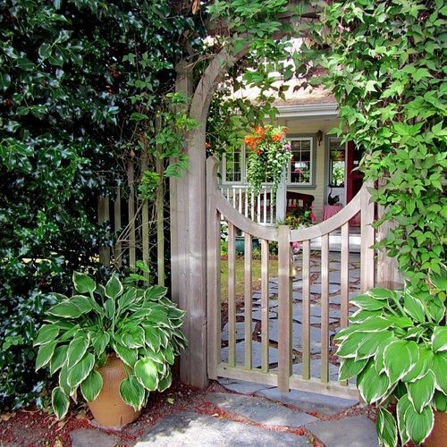 a rustic fence and a gate with a round arch over it are completely covered with lush greenery that composes a real vertical garden