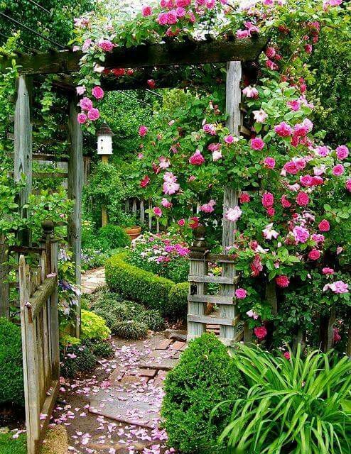 a shabby chic arbor covered with greenery and fuchsia blooms is a magical and beautiful decoration for a garden