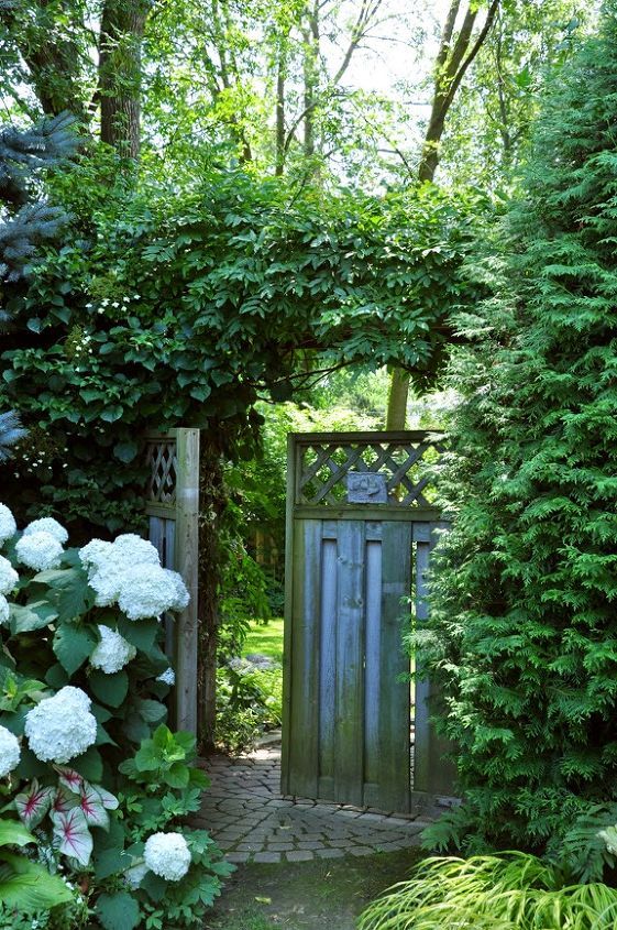 a shabby wood fence and gate with white hydrangeas and greenery around and over the gate create a secrete garden feel that we all love so much