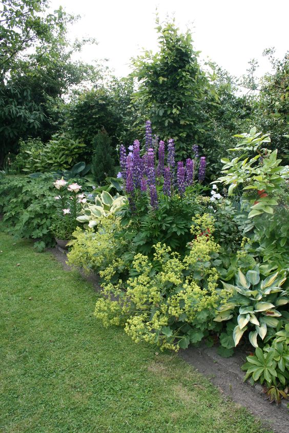 a shade garden with greenery and bold blooms, a green lawn is a lovely space to enjoy, it looks beautiful and fresh