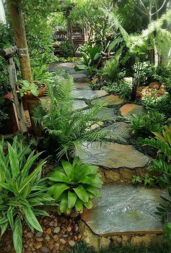a shady tropical garden with a rock path, greenery, shrubs and even some small tropical trees is a cool space with a tropical feel
