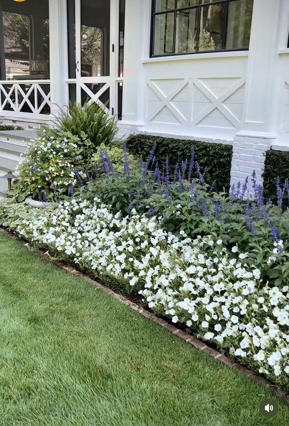 Brick borders are great to separate a front lawn from greenery, lush blooms and lavender that make a white cottage home so lovely.
