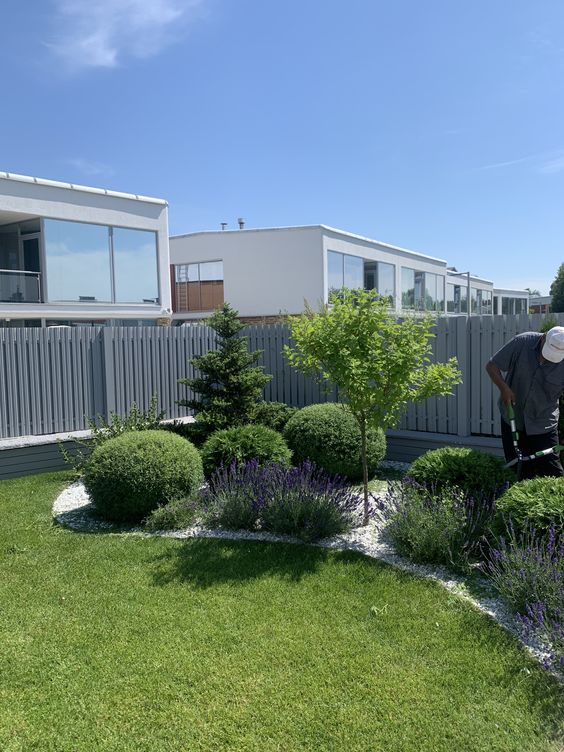 a small and chic modern corner garden with topiaries, lavender and a couple of trees is a very refined idea