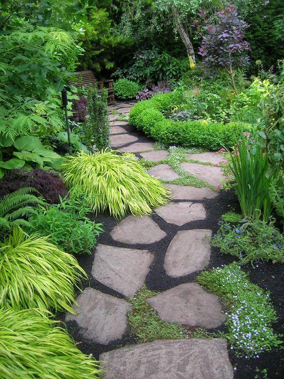 a small and laconic shady nook with a stone path, bold greenery and shrubs, some trees and a dark-stained bench is wow