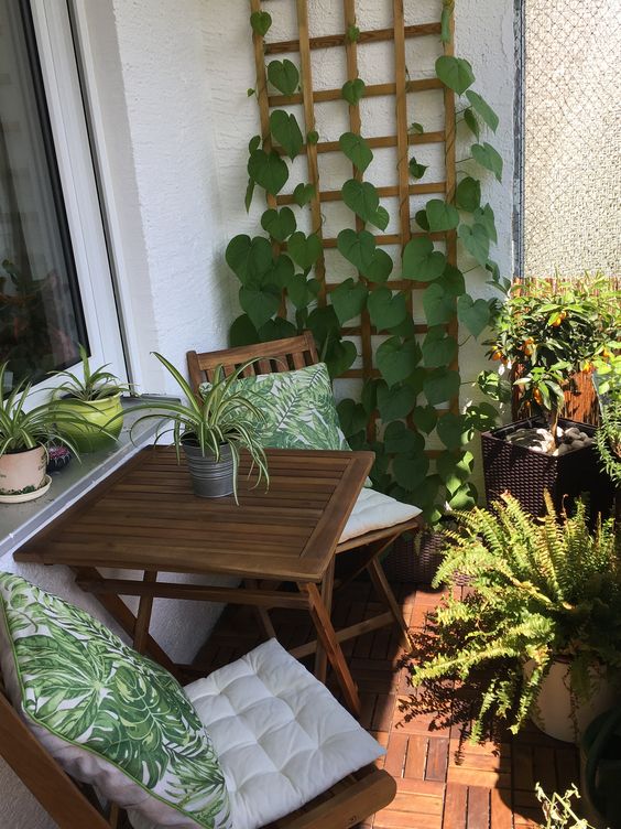 a small balcony with a trellis covered with climbing plants, folding furniture, potted plants and pillows is lovely to have a rest