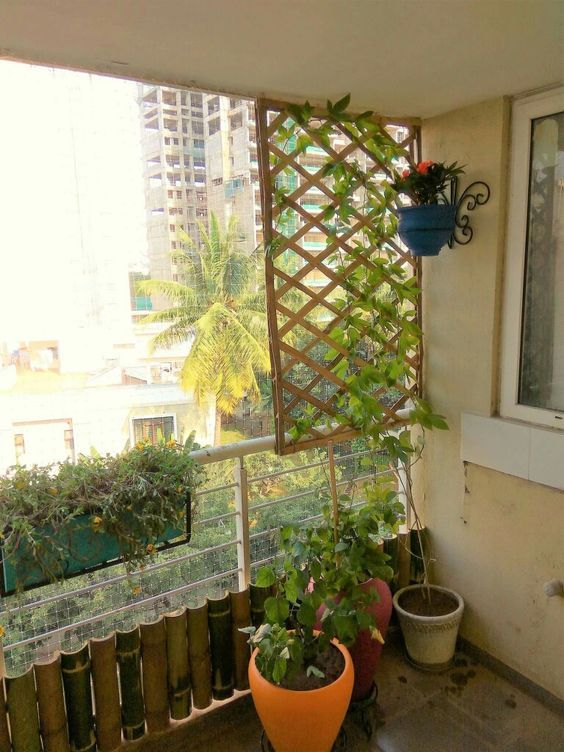 a small balcony with a trellis, some planters with vines climbing up and a planter on the railing