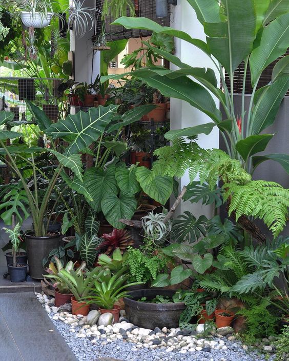 a small corner garden with greenery and potted plants, some tropical trees and pebbles is a nice idea for a front yard