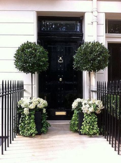 a small front porch with a vintage black door with metal details and tall topiary trees with white blooms under them