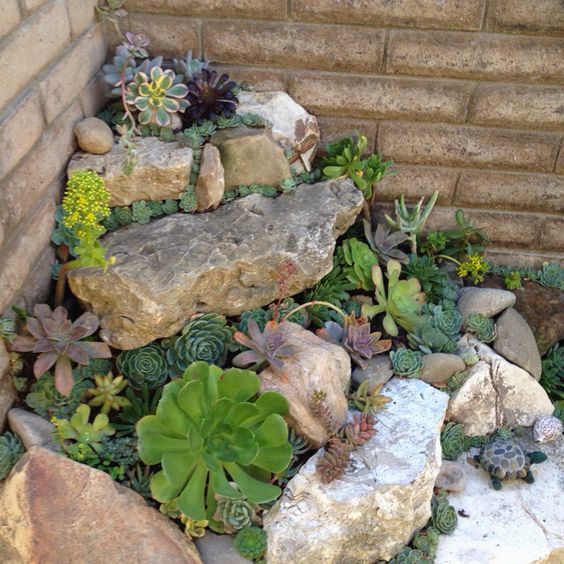 a small rock corner garden with succulent is a lovely way to style a small and awkward nook of your garden