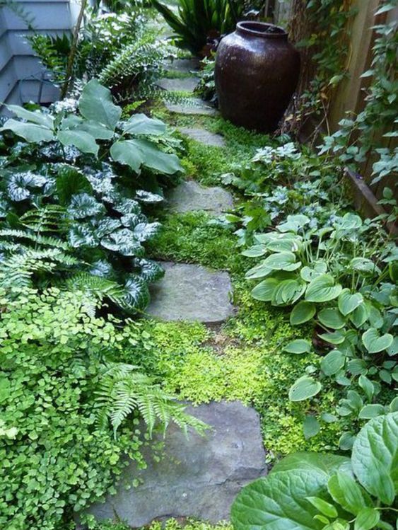 a small shade side garden with lots of greenery, a stone path and a large vase is a cool space to be in, it looks pretty and lovely
