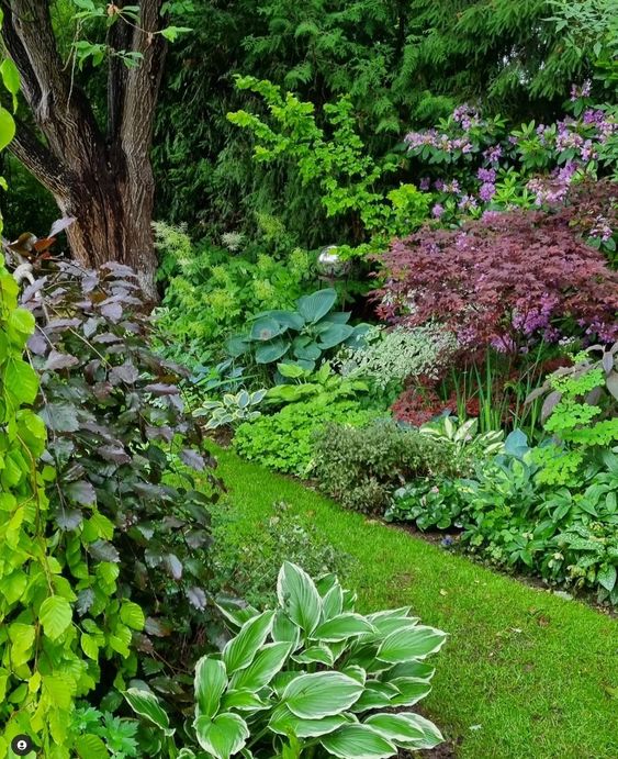 a small shady garden with a green lawn, a tree, various types of greenery and bold foliage is a fantastic idea