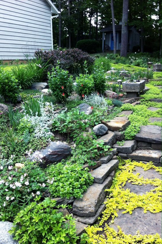 a small garden with various types of greenery, foliage and some blooms, a rock garden path and a bird bath is lovely