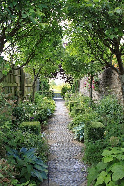 a small side garden with some greenery, blooms, trees and blooming shrubs is a lovely space that feels very cozy and welcoming
